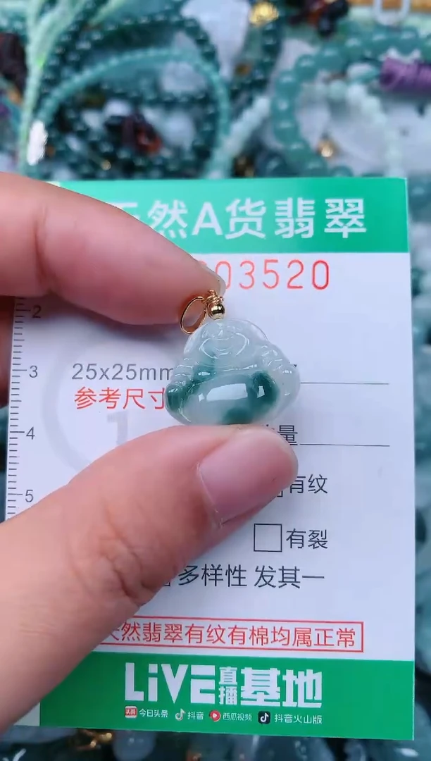 颈饰未镶嵌翡翠.0003520