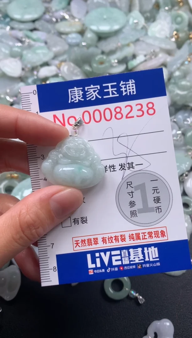 颈饰未镶嵌翡翠8238