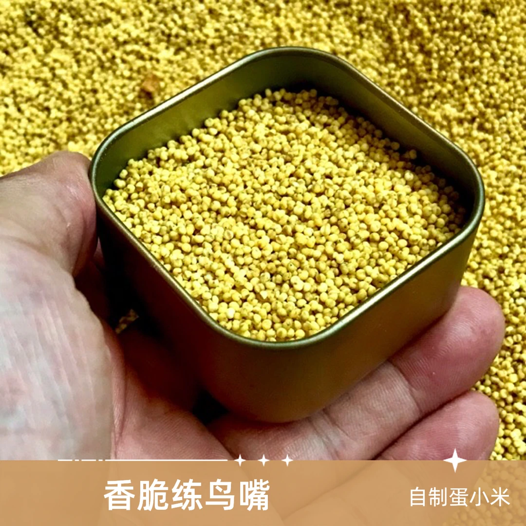 鹦鹉断奶期 自制蛋小米 作用：香：味道好  脆：口感好 硬 ：练咬合力