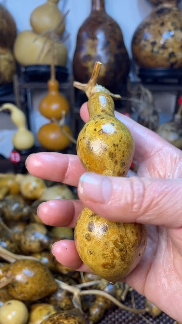 【闪购商品】葫芦葫芦葫芦葫芦葫芦