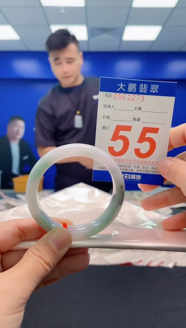 未镶嵌手镯翡翠AAAAAAAAA