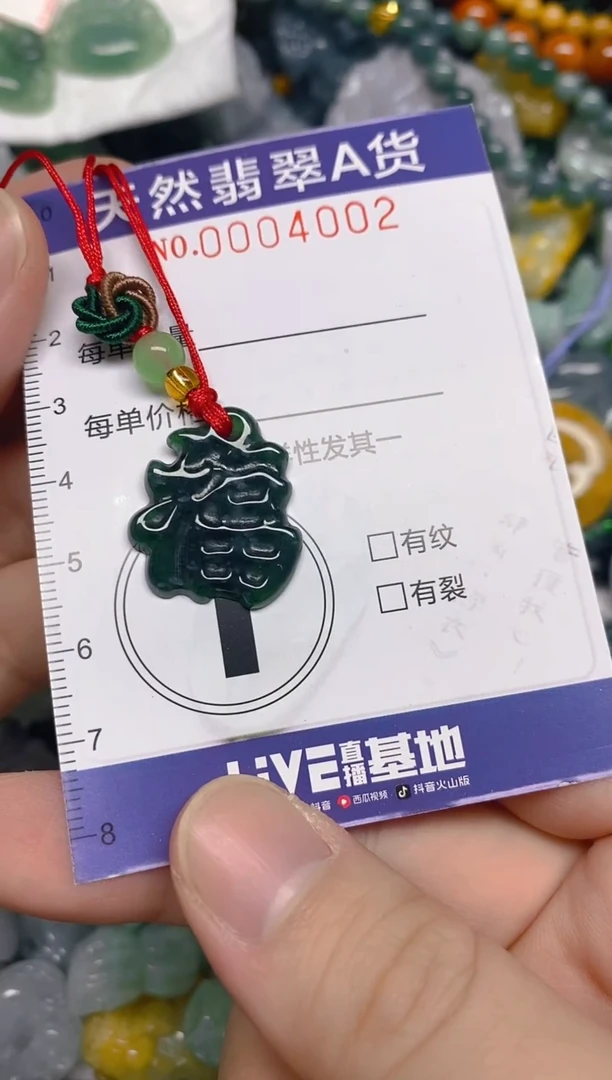 颈饰未镶嵌翡翠0004002
