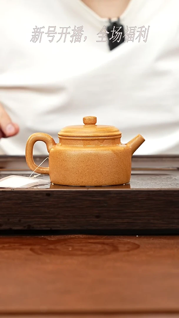 茶壶紫砂19y23黄金段徳钟