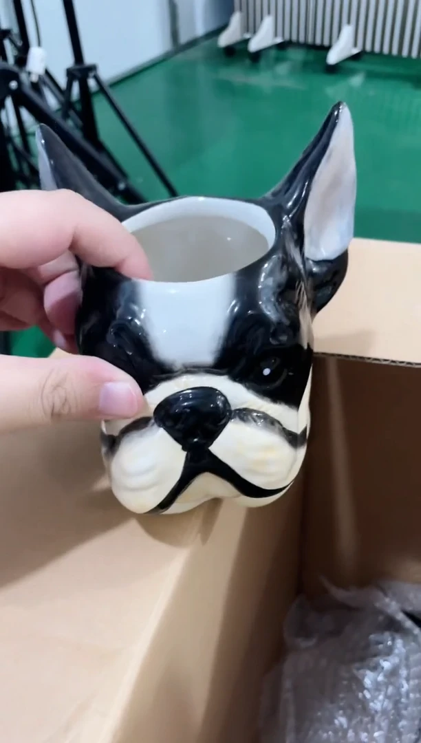 瓷片 开播福利款，拼手速
