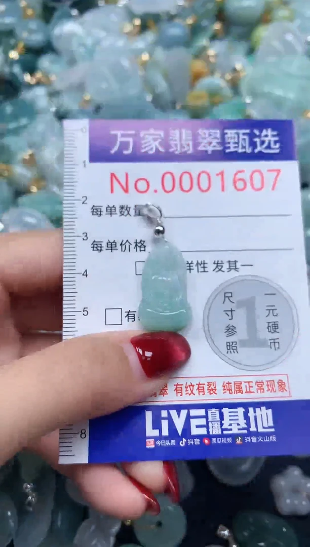 颈饰未镶嵌翡翠1607