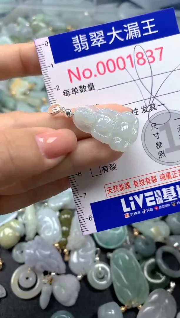 颈饰未镶嵌翡翠1837