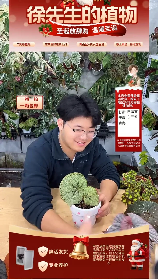 完全开放?****猫越南灯果