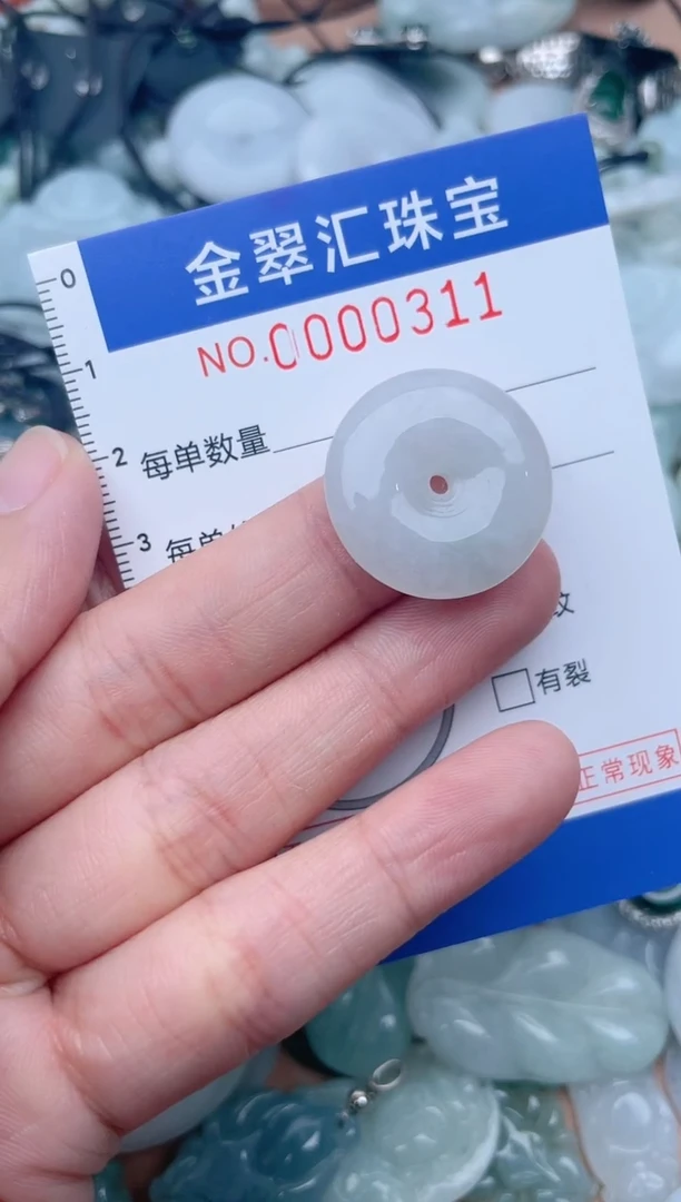 翡翠未镶嵌颈饰311