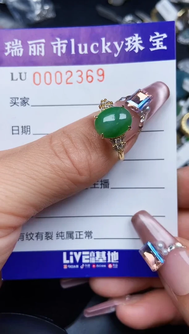 翡翠银S925镶嵌颈饰2369