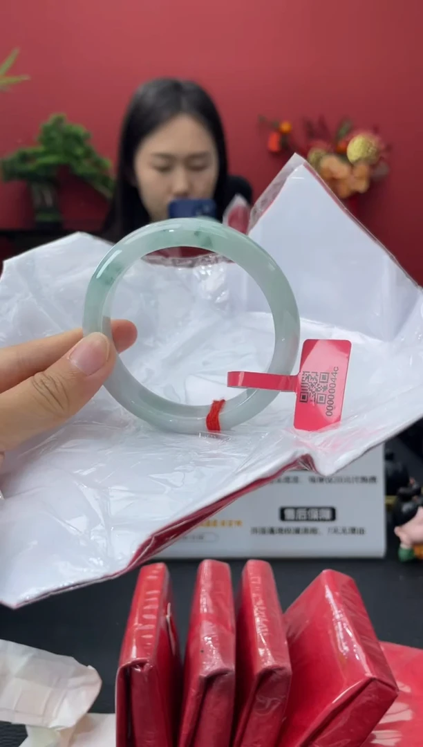 未镶嵌手镯翡翠2