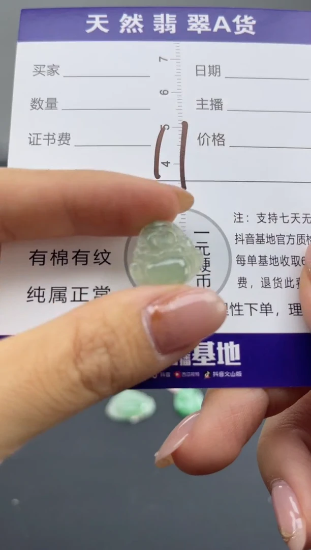 颈饰未镶嵌翡翠微瑕 有纹