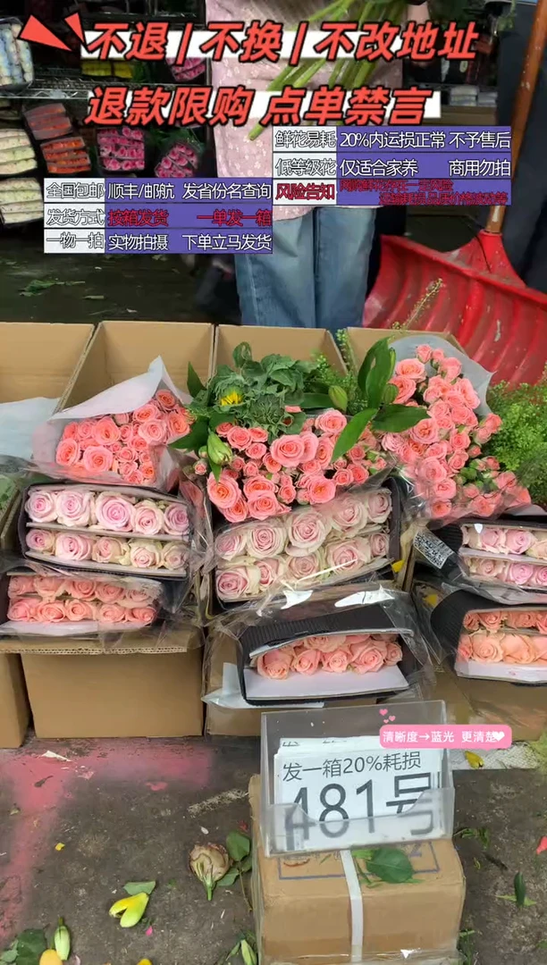 481号♥含20%耗损发一箱