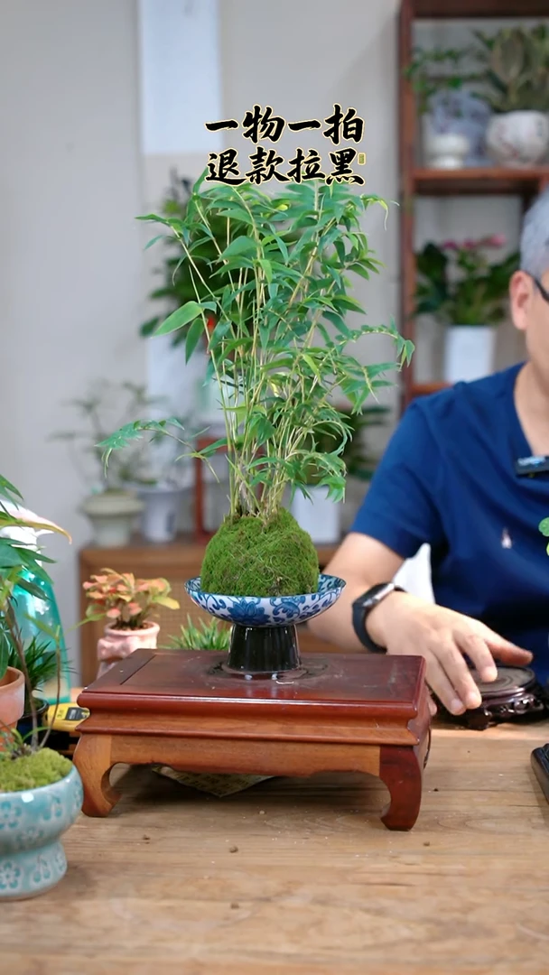 完全开放牛****坊米竹242