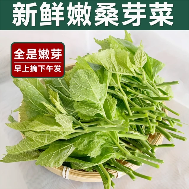 【有机蔬菜】新鲜桑芽叶新鲜桑嫩芽桑叶菜嫩桑芽桑芽菜