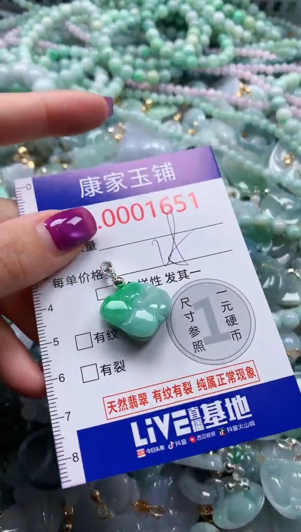 颈饰未镶嵌翡翠1651