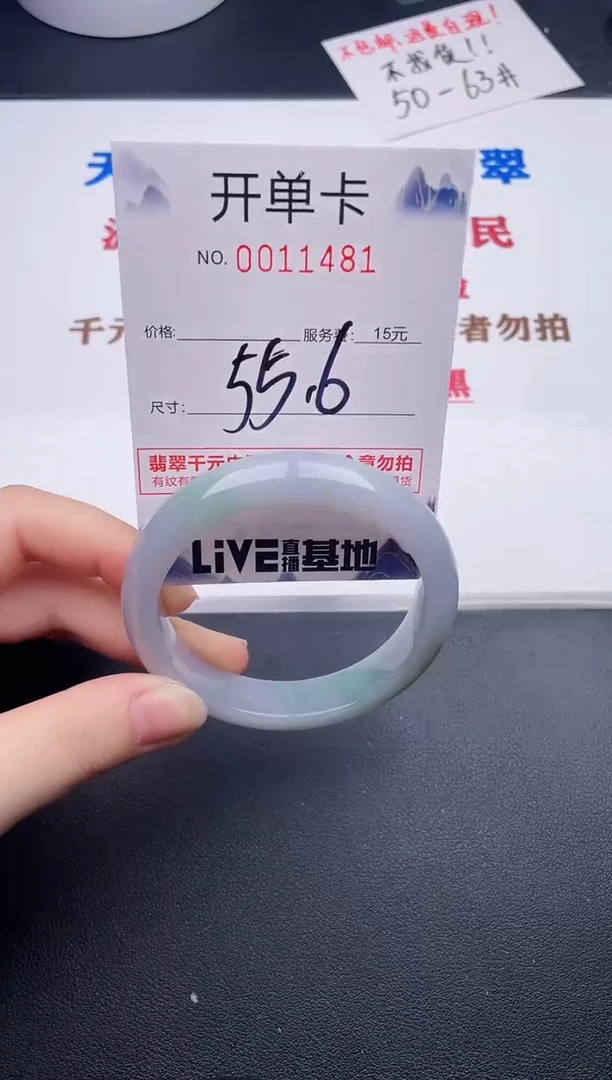 未镶嵌手镯翡翠81
