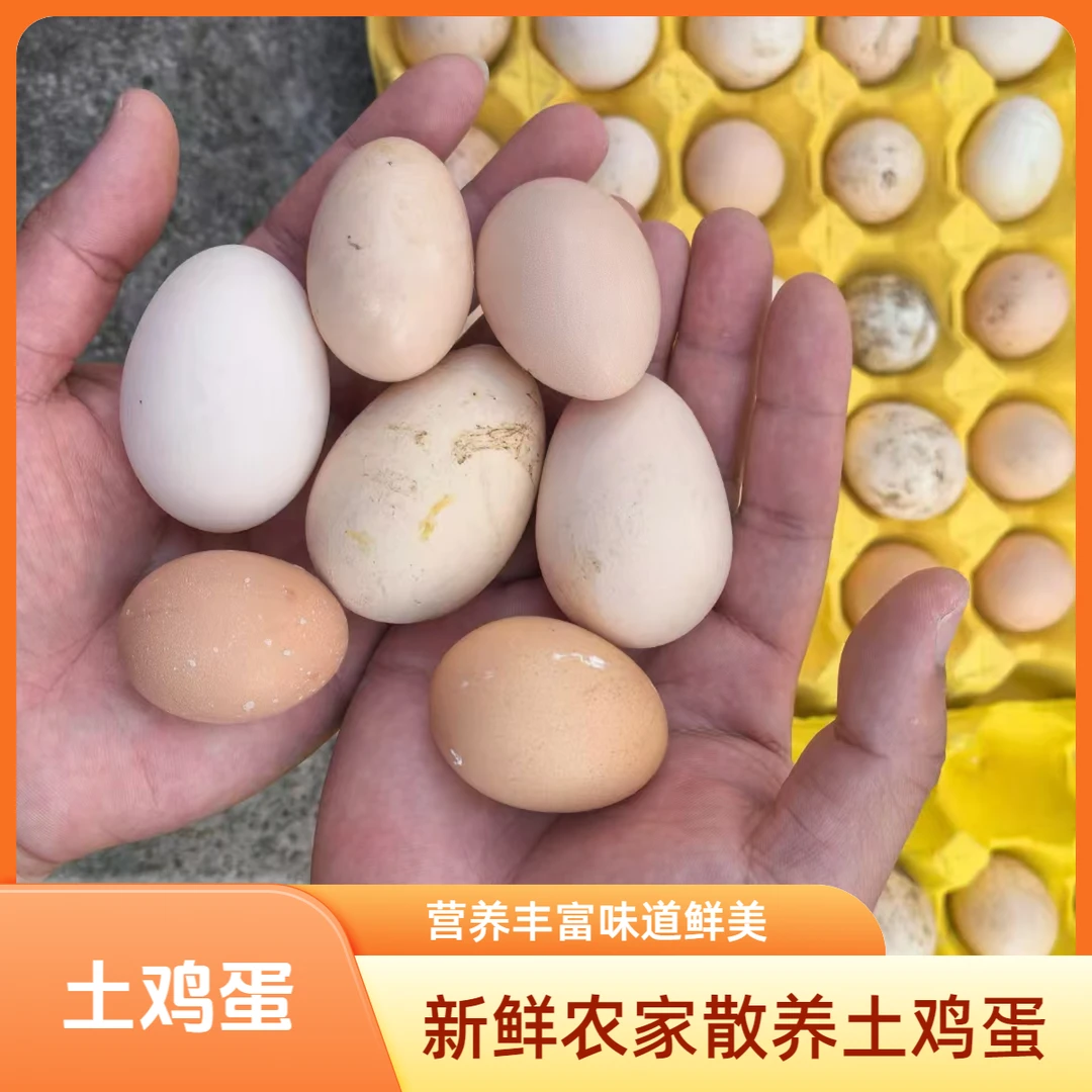 当天生当天送到家的新鲜土鸡蛋无激素土鸡蛋
