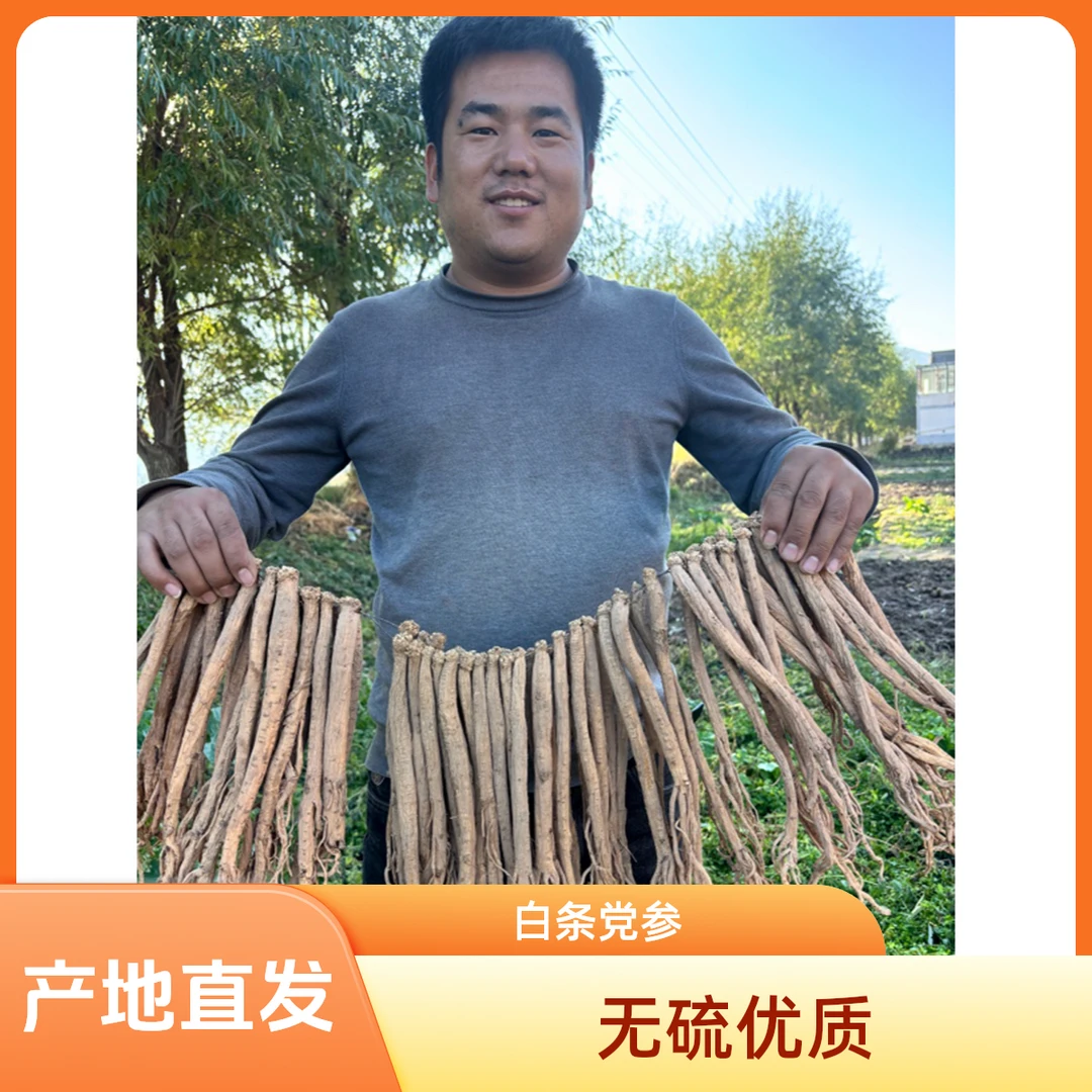 岷县白条党参 自产自销    大条 特大条 无硫白条党参