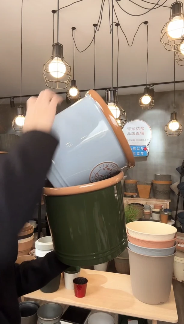 【闪购商品】塑料2025.1.21闪购一号链接两只克里欧