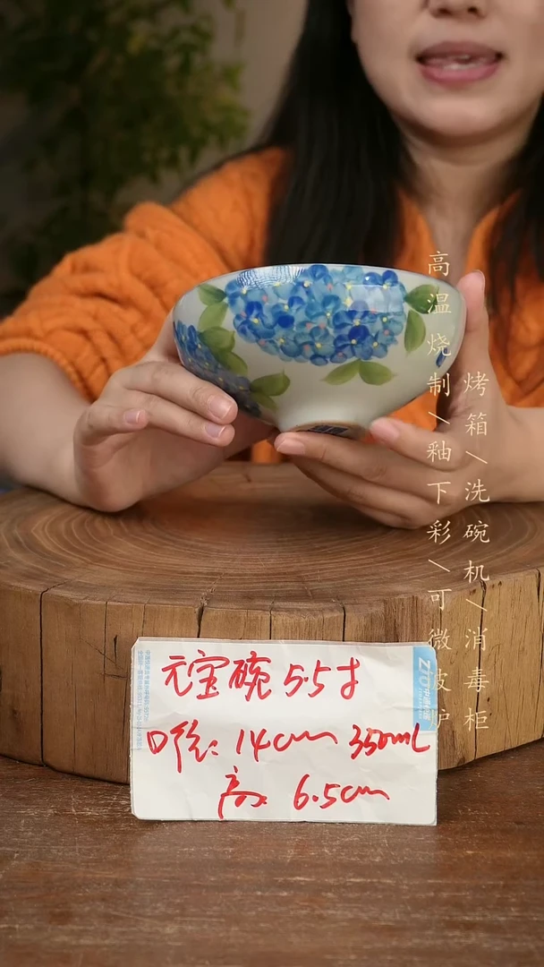 碗瓷景德镇手工手绘高温瓷釉下彩