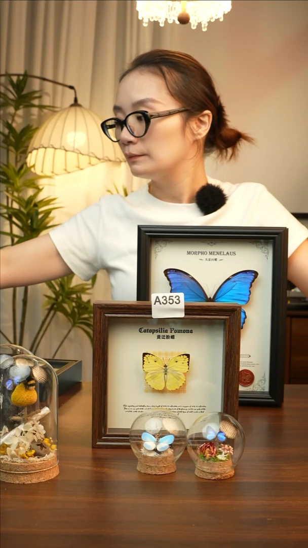 黄迁粉蝶（6寸方胡桃色新款框）A353