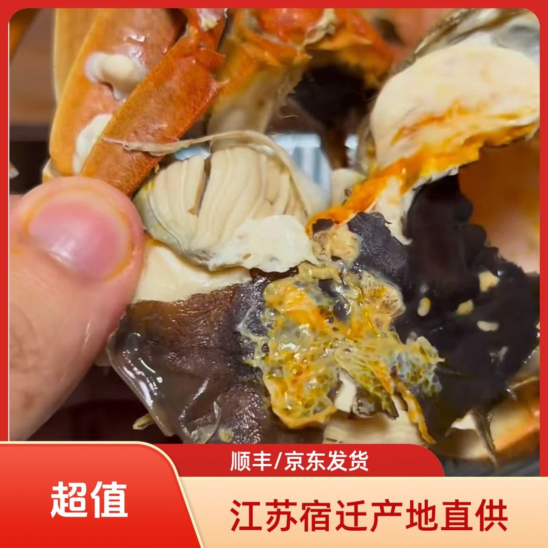 【1-1.3两/只】螃蟹活蟹青蟹虾蟹煲香辣蟹京东/顺丰发货