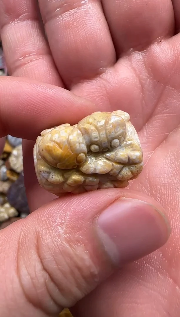 【闪购商品】硅化珊瑚（珊瑚玉）颈饰未镶嵌527