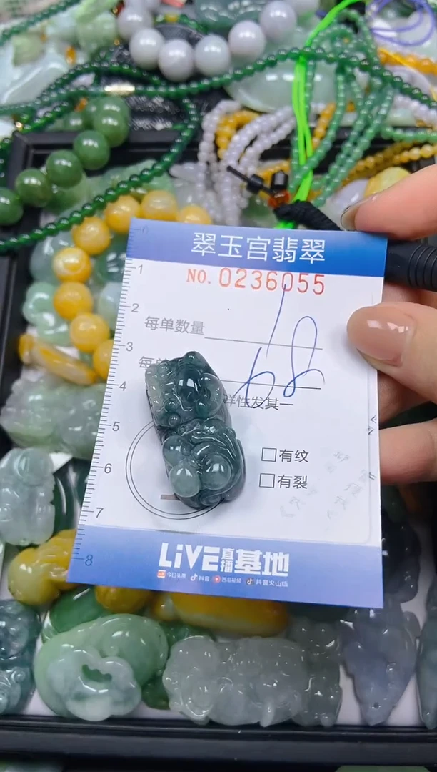 颈饰未镶嵌翡翠闪购C0236055