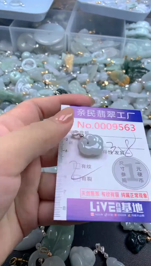 颈饰未镶嵌翡翠9563有瑕疵介意慎拍