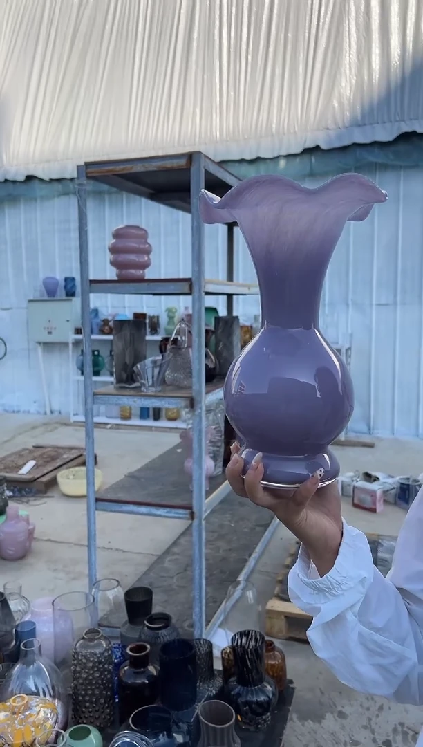 玻璃花瓶用于客厅桌面插花装饰