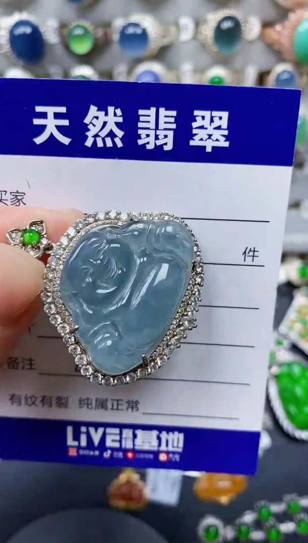 翡翠银S925镶嵌颈饰201