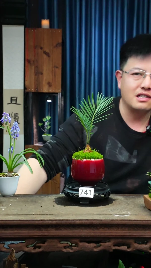 【闪购商品】苔藓微景观741号