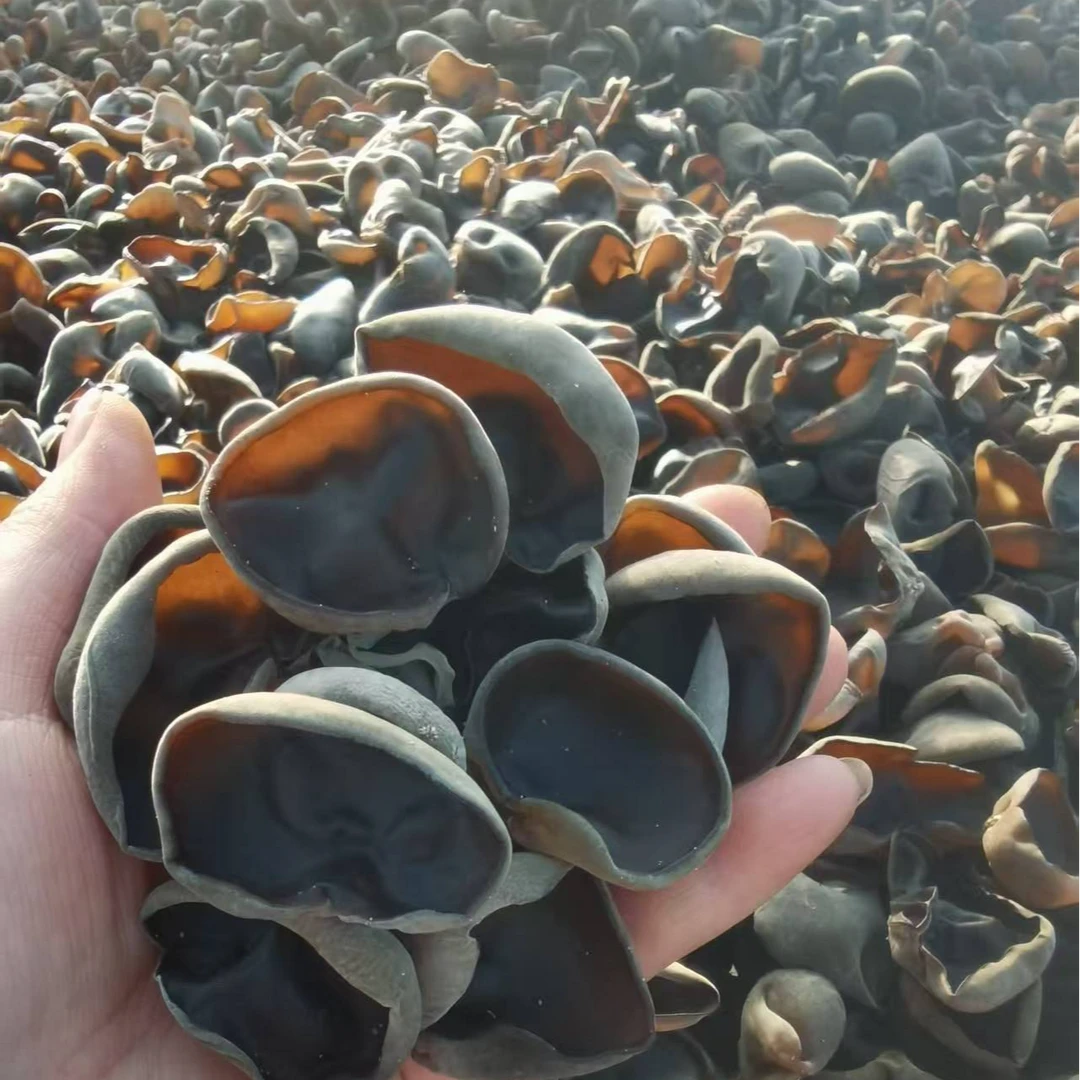 秋季小碗耳2025东北特产肉质厚实无根无沙干货支持试吃50g