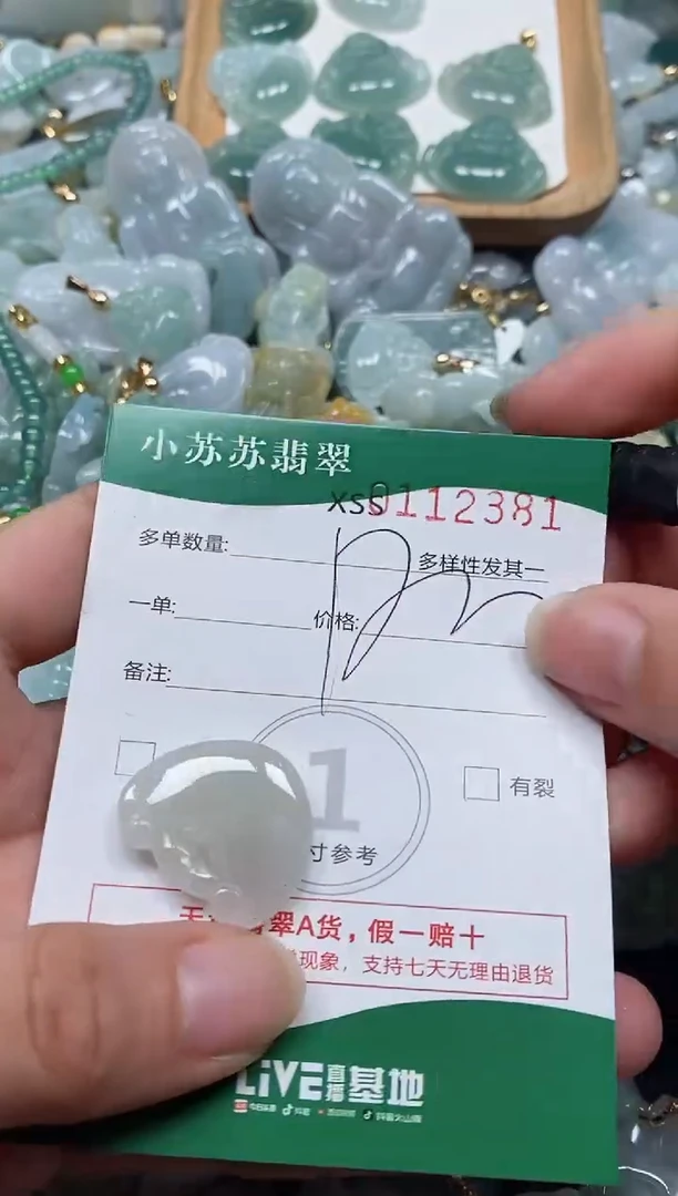 【闪购商品】翡翠颈饰未镶嵌闪购商品0112381