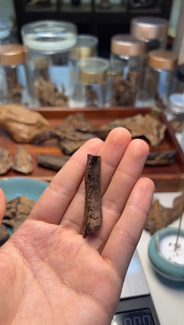 木；老挝占巴色沉水标本2.8克