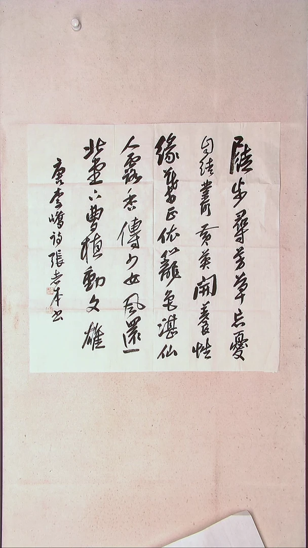 【闪购商品】书法张志本河南69*69（4）