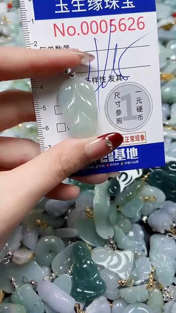 【闪购商品】翡翠颈饰未镶嵌闪购00005626