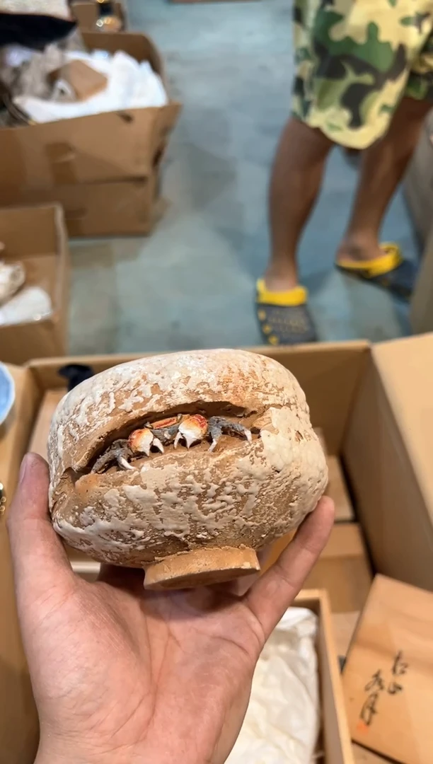 象*A3472中古瓷器 茶器周边/1