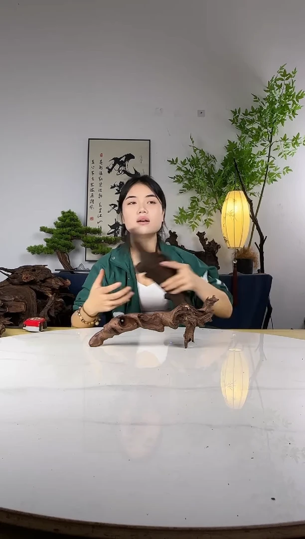 故**歌拍这个定向编号28