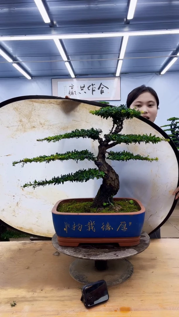 无花朵一物一拍，所见即所得