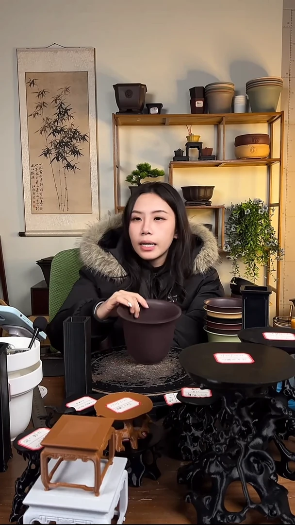 10只15口径金钟紫檀色