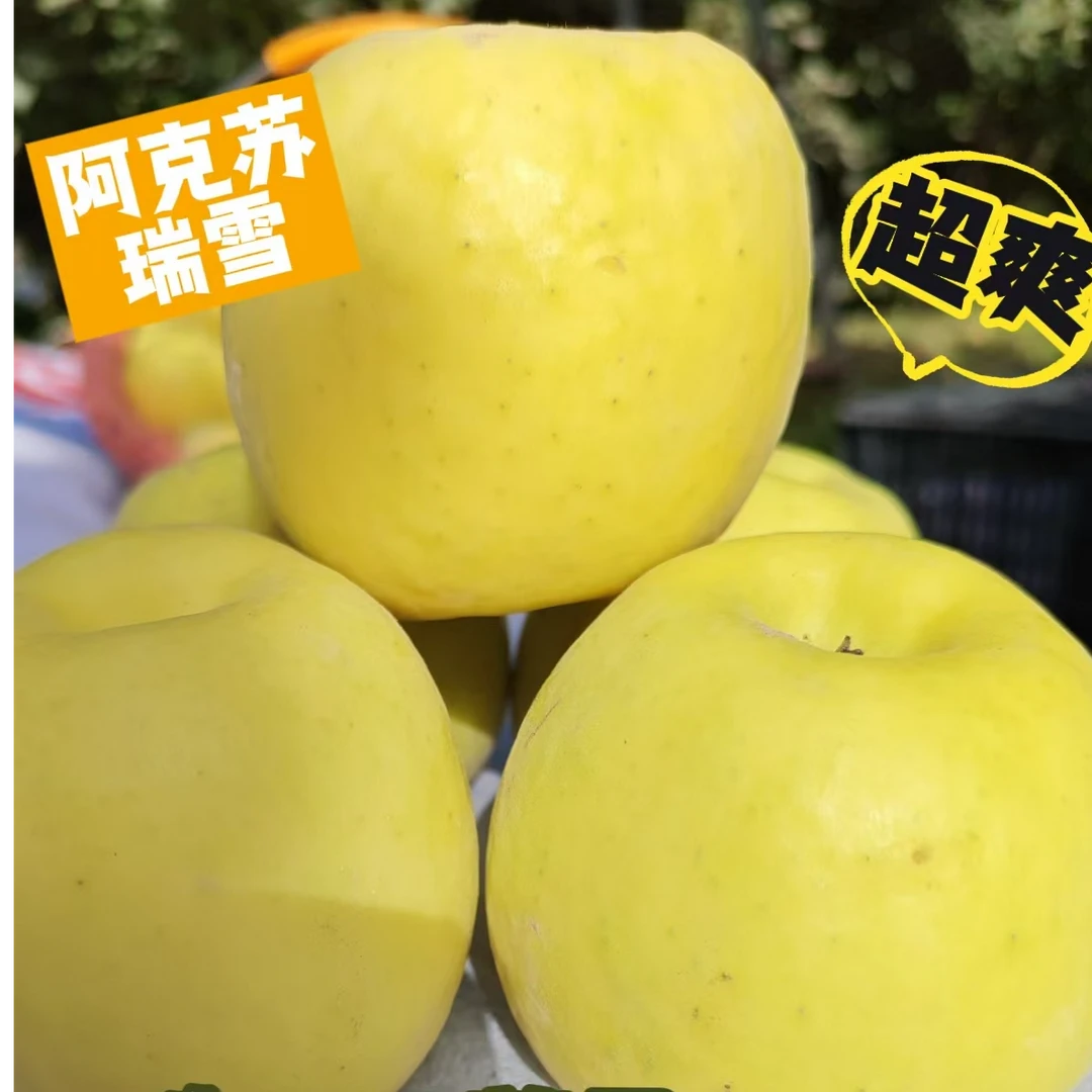 正宗新疆阿克苏瑞雪苹果浓香脆爽果园直发