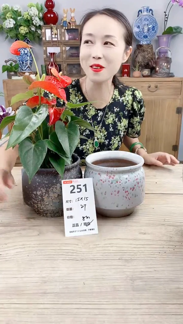 小玩子花盆直播号251