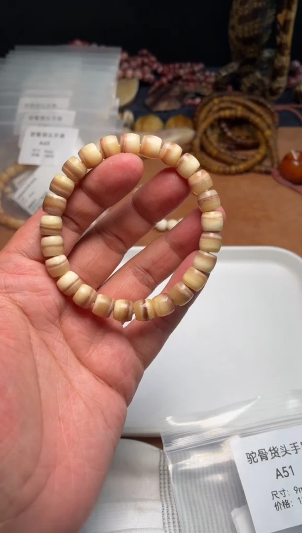 驼骨其他驼骨货头A51