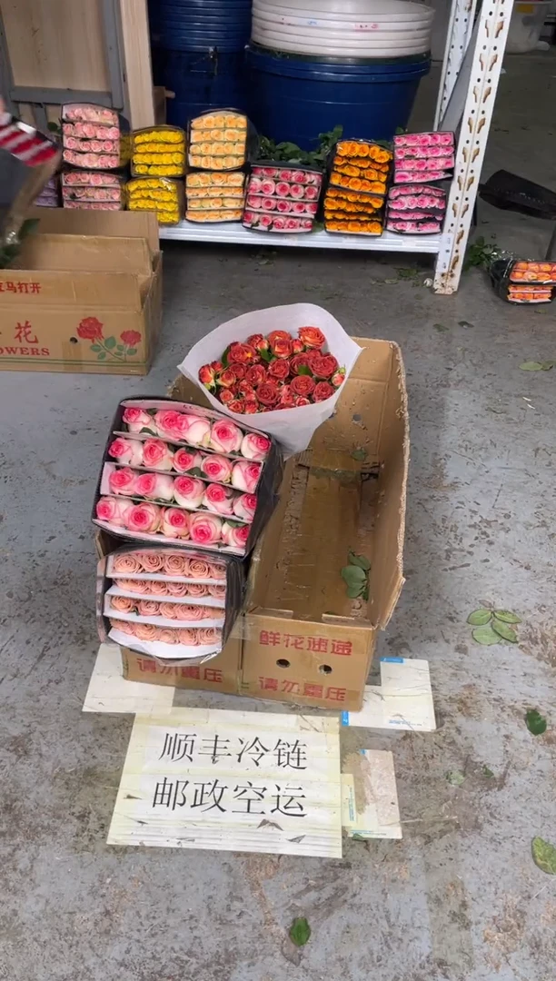 卡布20枝+爱莎20枝+巧克力10枝