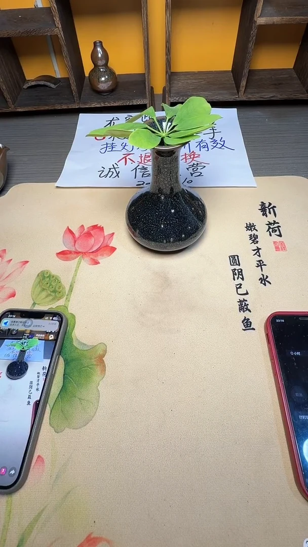 茶盏用****2-72----