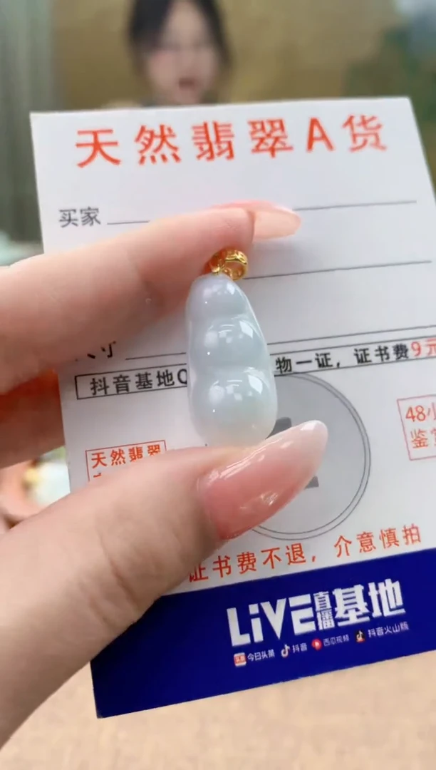 颈饰未镶嵌翡翠天然A货翡翠挂件