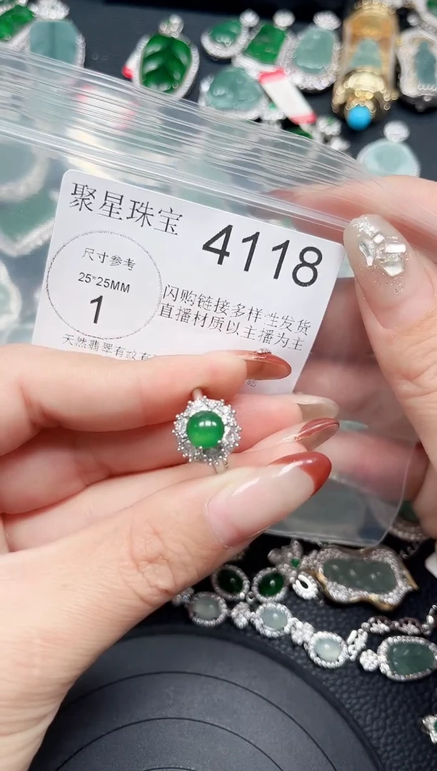 【闪购商品】翡翠颈饰未镶嵌赠皮绳4118