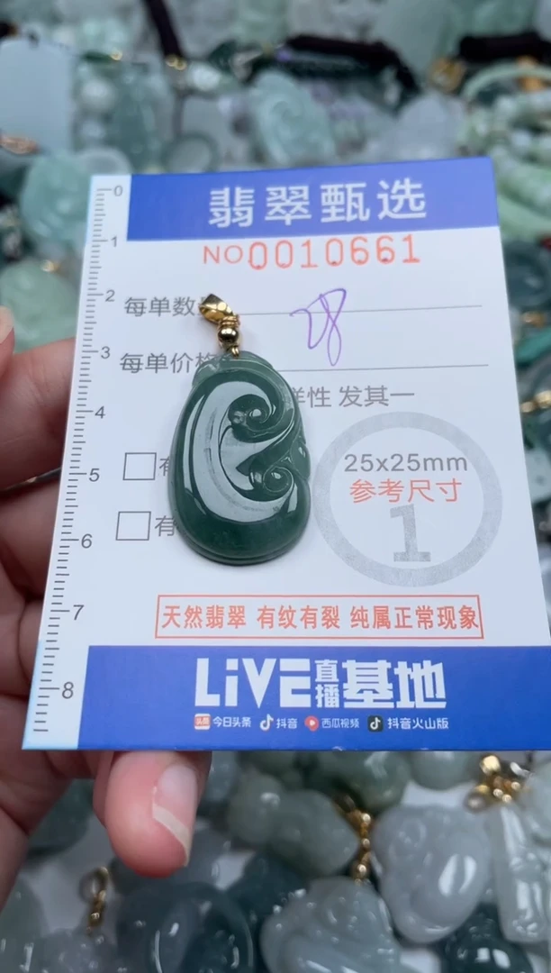 颈饰未镶嵌翡翠10661