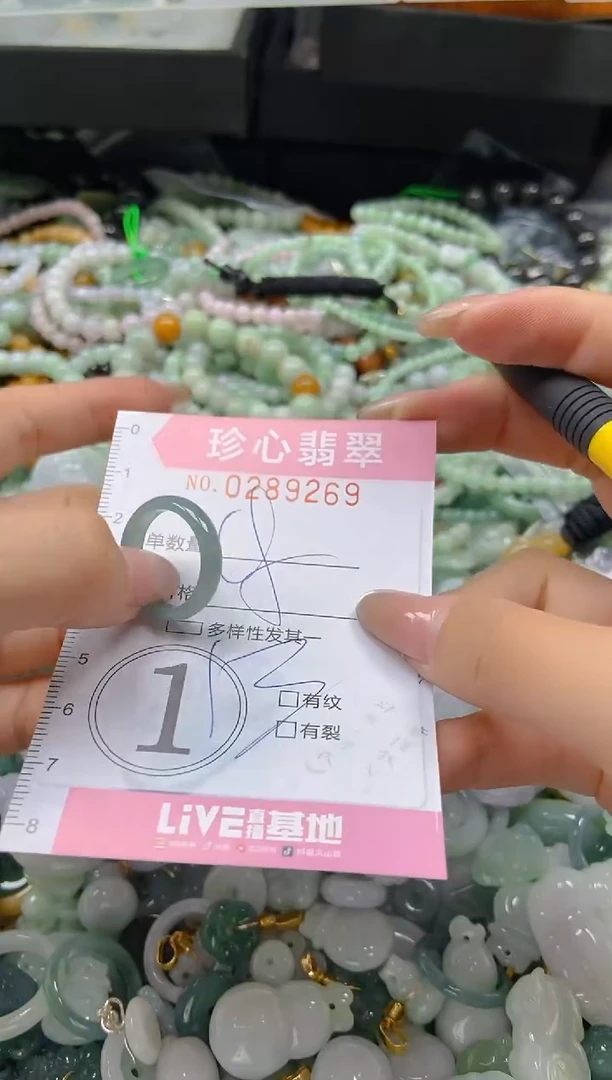 翡翠未镶嵌颈饰闪购0289269